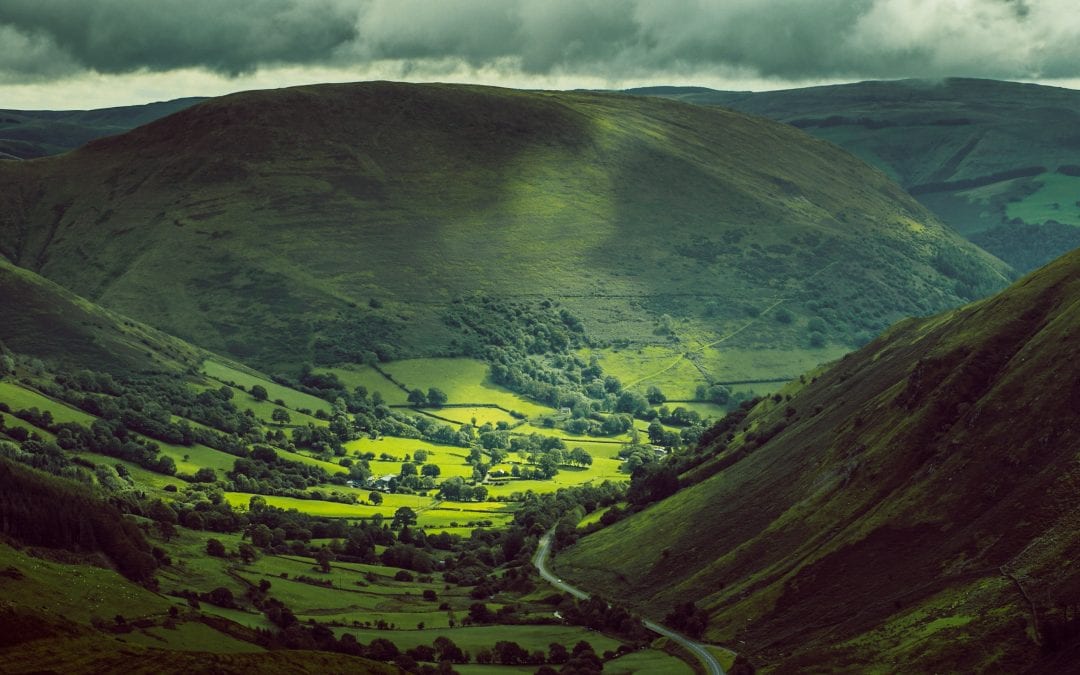 Offer of walks in beautiful Wales!